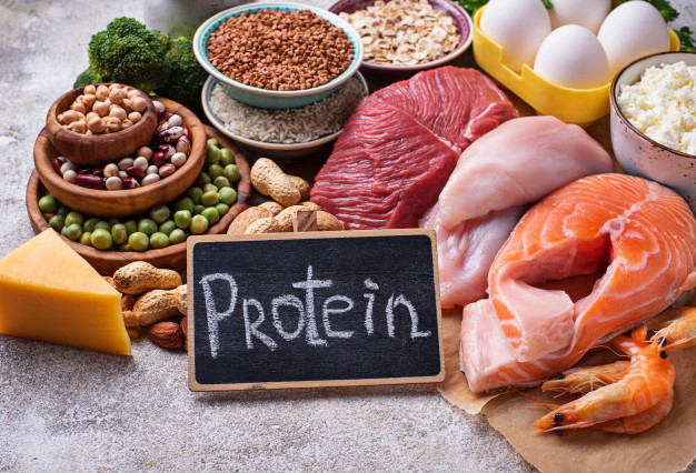 Protein in hindi Always healthy fit