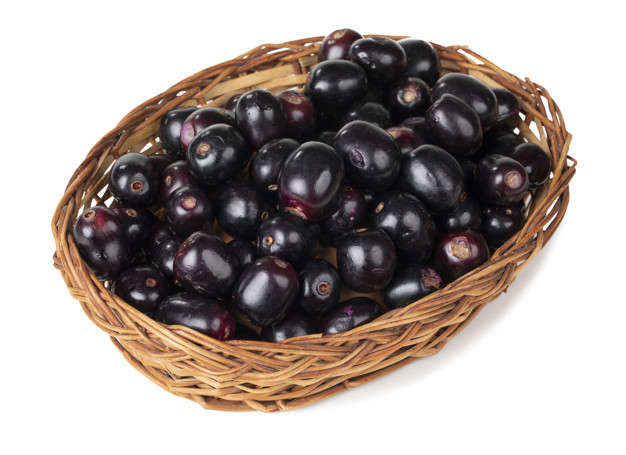 jamun Article in Hindi - Always Healthy Fits