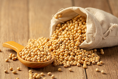 soybean benefits in hindi