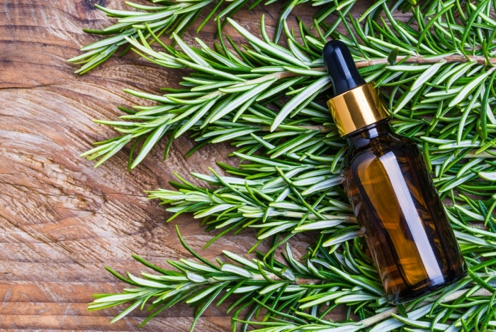 Should I Use Rosemary Oil for Hair ?