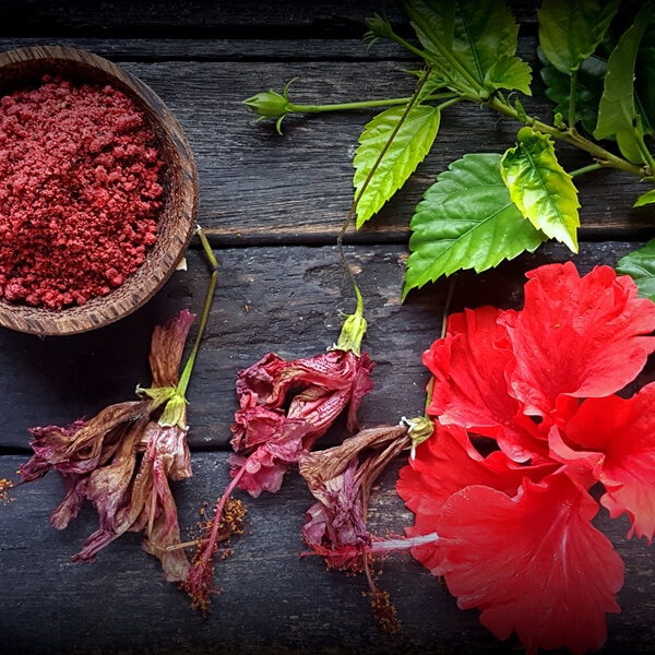 Hibiscus For Hair