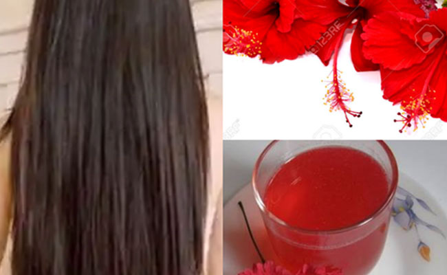 Hibiscus For Hair