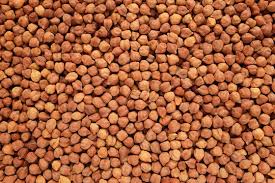 kala chana benefits