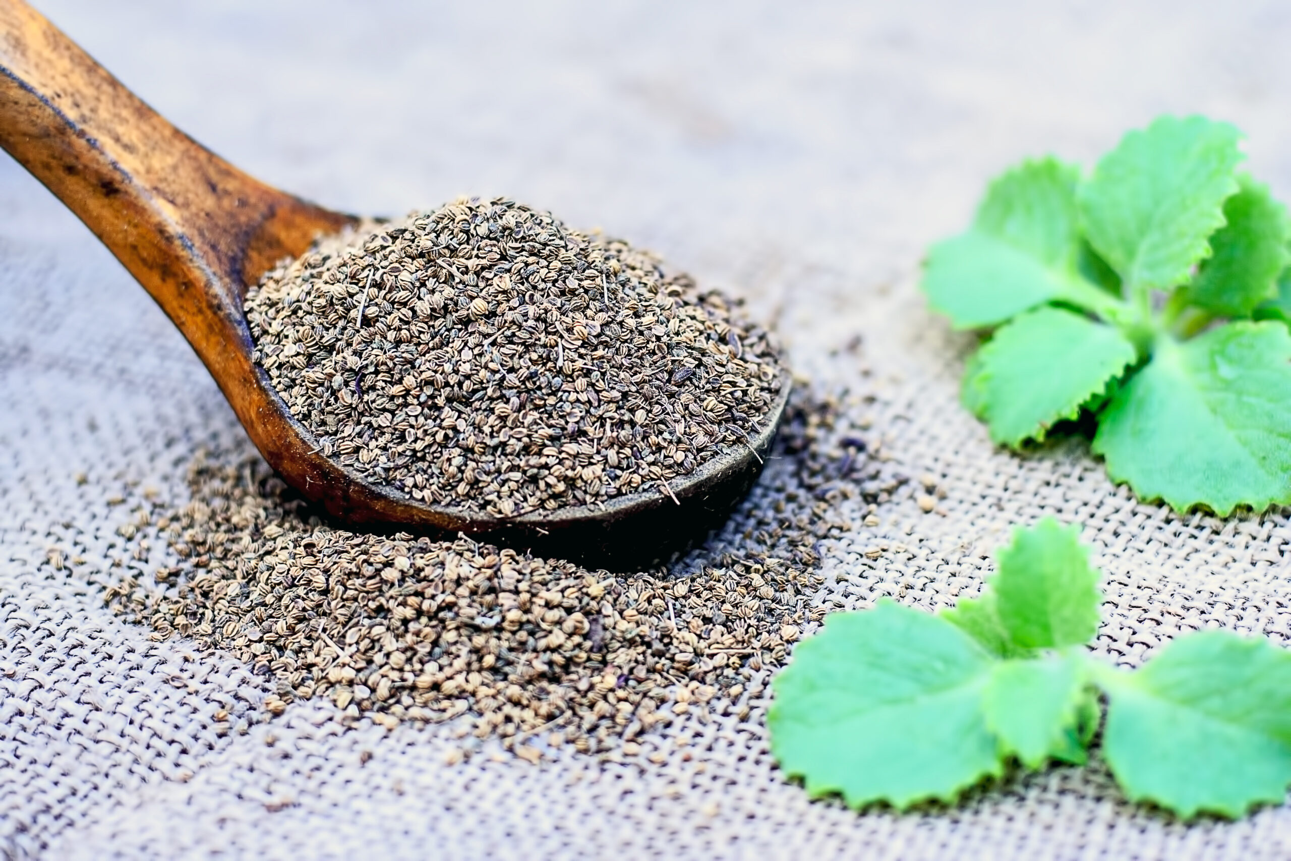 Benefits of Ajwain