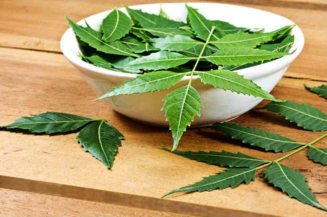 Benefits Of Neem in hindi