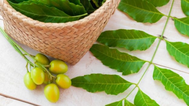 Benefits Of Neem