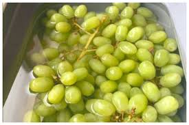 Health Benefits of Grapes