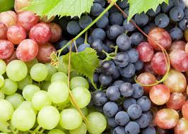 Health Benefits of Grapes in hindi