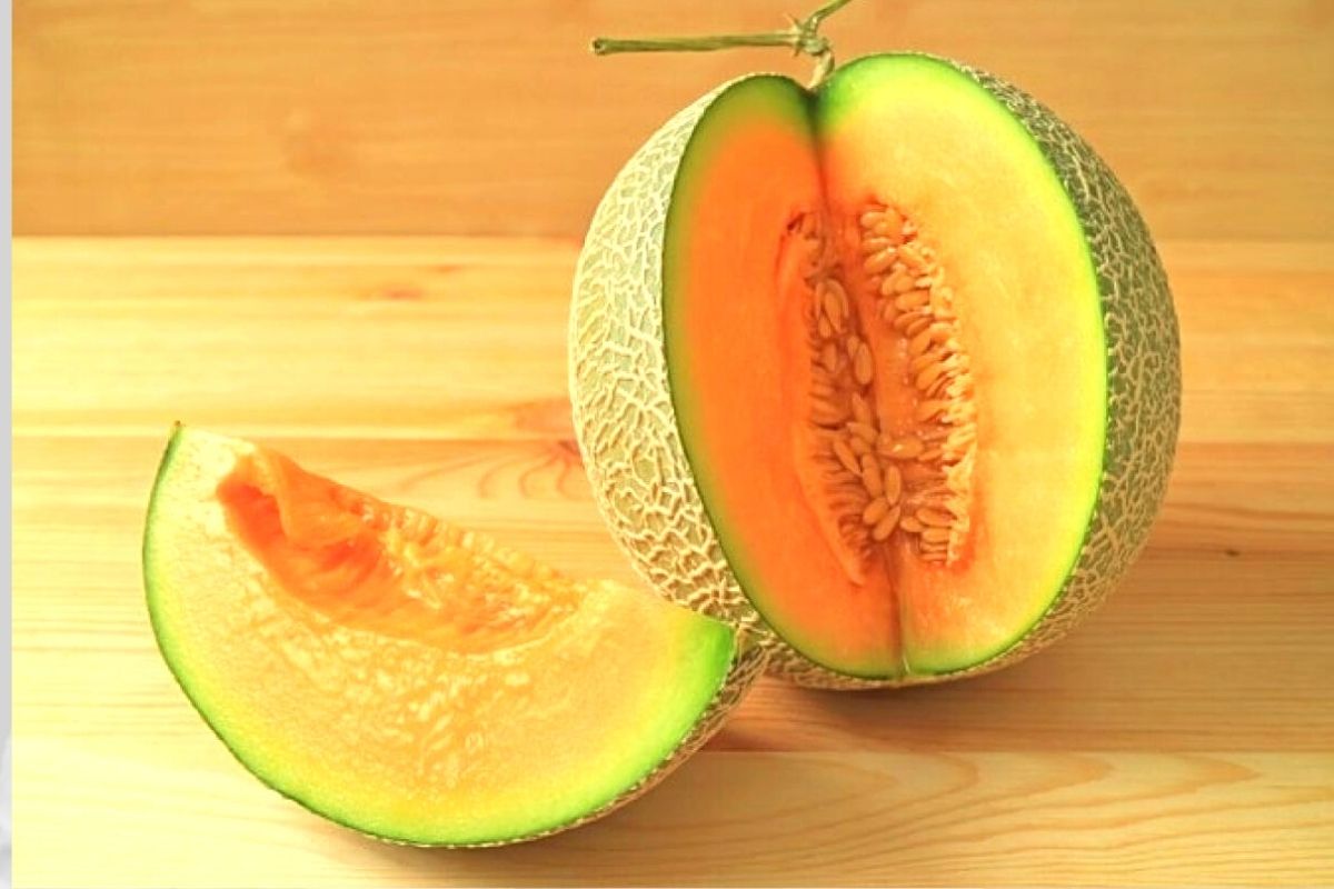 muskmelon benefits