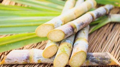 Sugarcane Juice Benefits in hindi
