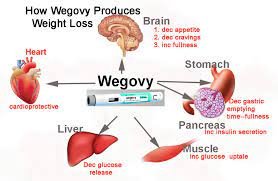 Wegovy Weight Loss Medication Lowers Heart Attack and Stroke Risk